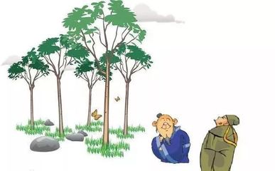拒絕“流浪地球”，團小西約你一起來植樹！